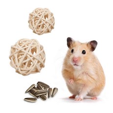 햄스터 이갈이 간식 공 장난감 용품 등나무 미니 볼, 상품선택, 1-햄스터공3cm