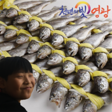 [주영광굴비수산] 국내산 법성포 영광굴비세트 20미 40미 가정용 실속선물세트 참조기 영광굴비직판장 산지직송, 1세트, 1.4kg