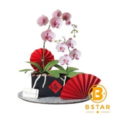 紙模型 粉蝶報喜 紙植栽材料包 DIY 手作 裝飾, 1個