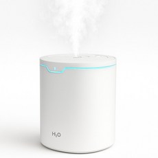 2L 대용량 초음파 스프레이 듀얼 가습기, 필터10개입