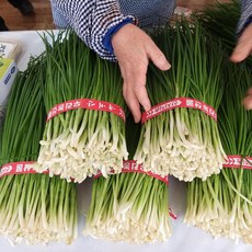 [당일손질] 농가직송 하우스 깐쪽파 1kg 당일수확 당일배송 손질쪽파 예천 한밭농산, 1개