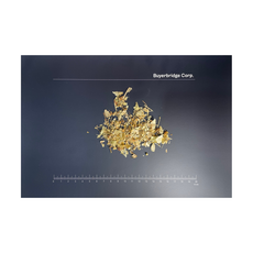 건조/말린 유기농 린든나무/피나무 꽃(Organic Silver Linden tree Flower/Tilia cordata) 100g, 1개