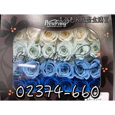 日本大地農園不凋永生玫瑰花02374 二十四輪混合色 (花藝夢系列), 660 藍色系