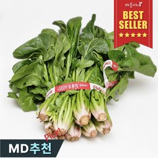 [바름이네] 산지직송 엄마의 달큰고소한 남해 시금치 보물초 섬초, 1박스, 1kg