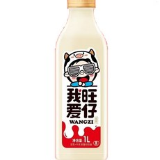 판다중국식품 워아이 왕자이 대용량 중국음료, 4개, 1L