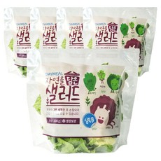 데이밀 자연을담은 샐러드 실속B 100g x 5팩 국내산 야채믹스, 5개