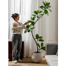 옷가게 피팅룸 매장 벽면 간이탈의실 탈의실 U자형 커튼 1.8m 킹콩 + A 화분, 1.2m 킹콩 + B 화분