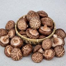 무안 생 표고버섯 특품 1kg