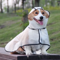 반려견외출용 반투명레인코트 강아지방우 S M L kon+54034iq, 반투명_S