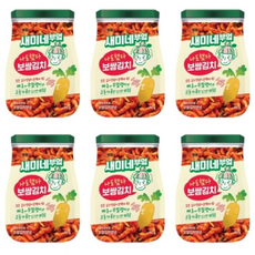 샘표 새미네부엌 보쌈김치 양념 간편양념, 90g, 8개