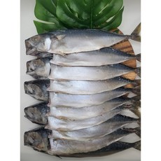 냉동국내 간고등어 2.1KG(10미), 10개, 2KG이상