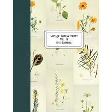 (영문도서) Vintage Botany Prints: Vol. 18 Paperback, Createspace Independent Pub..., English, 9781724936721