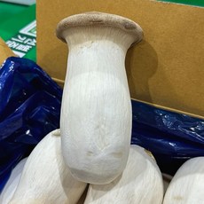 국내산 새송이버섯 특품 새송이, 1박스, 2kg