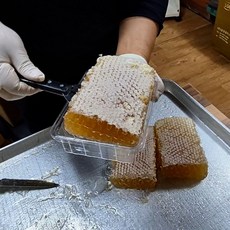벌집꿀 선물세트 벌꿀집 답례품 국내산 자연 밀랍꿀 돌잔치 명절 부모님 건강 선물, 1개, 500g