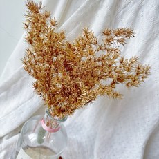 蓬萊松花圈聖誕樹裝飾 壽松松柏節慶盆花材料, 1個, 3-4克零售版, 金色