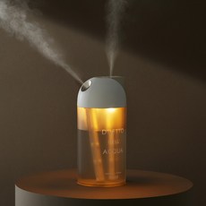 프롬비 더블미스트 무선가습기 1L, FE243, 골드