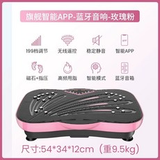 트레이닝 덜덜이 진동 하체 홈트레이닝기구 가정용 기구 스텝퍼 실내운동 전신 운동, L. APP