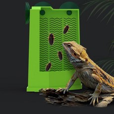 방지 상자 탈출 애완동물 펫 소형 밥그릇 가고일게코 반려동물 14443ea 1(pc), 그린 소형