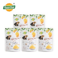 투안닷 건조망고 100g X 5개 건망고