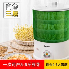 콩나물 재배기 식물 키우는 기계 가정용 시루, 1개