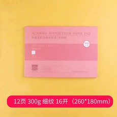 수채화지 아티스트 수채화 바오홍 종이 가용 세트 중목 용지, 1개, Y. 여분의 두꺼운 타입 300g 페 6k 미세 패턴