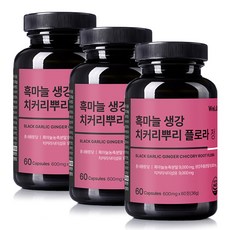 국산 흑마늘 생강 치커리뿌리 플로라 정, 3개