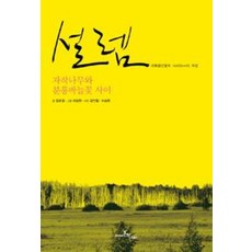 설렘 - 자작나무와 분홍바늘꽃 사이 대륙횡단열차 14400km의 여정, 아마존의나비, 김호경
