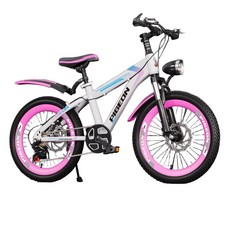 여아 입문용 두발자전거 20인치 저학년자전거 18인치, 18 인치, I. 화이트/핑크 (7단)