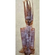 （生）阿根廷魷魚干每隻約65g, 1個, g