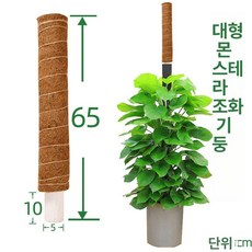 몬스테라 지지대 코코넛봉 코코넛 원예봉 원예용품 만들기, 조합형 대잎 필라 65cm 지름 8, 1개, 1mg