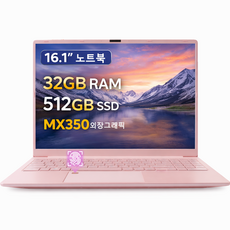 16.1인치 노트북 32GB RAM 512GB SSD MX350 2GB 독립그래픽 지문인식 사무용 업무용 가성비 노트북, AMD A6-7310U, WIN10, 핑크