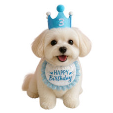 와이유 강아지 생일파티용 옷 세트, 1개, 블루