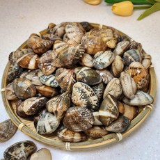 수산잇츠 냉동 피바지락 급냉, 1개, 500g