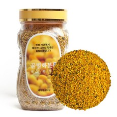 동광 화분 비폴렌, 500g, 1개