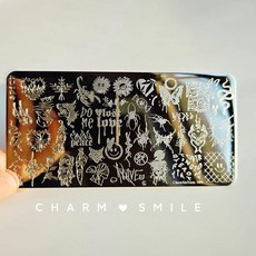 네일 템플릿 만화 캐릭터 스탬핑 플레이트 프렌치 라인 기하학 꽃 잎 동물 이미지 스테인레스 스틸 아트 스텐실, 옵션61) CJT-109, 1개