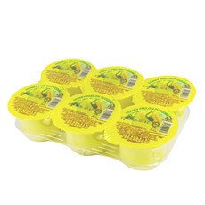 코쿤 오키오 허니멜론 푸딩 708g (118g X 6컵), 1팩