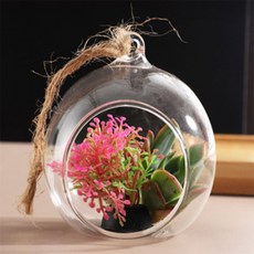 미요몰 테라리움 투명볼 5쌍 장식볼, 10cm