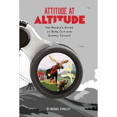 (영문도서)Attitude at Altitude Paperback, Lady Morgan Press, English, 9798999416407