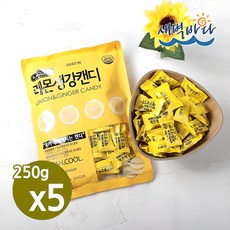 건강하게 달자 레몬생강캔디 250g x 5봉 환절기 목감기 CRLC2505, 5개