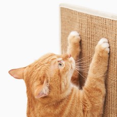 헨로포우 어디든 고양이 스크래쳐, 1개