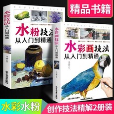 番茄書屋 水粉水彩彩鉛繪畫技法入門到精通正版書籍, 如圖