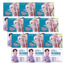 아텍스 격자테잎 혼합 (A형 45매 B형 18매 C형 4매), 9개
