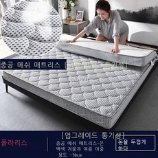 라오농 JS 두꺼운 패밀리 손님용 돌침대 매트리스 토퍼+2DG7FG1H4LL, AI 10cm_0.9 x 1.9m
