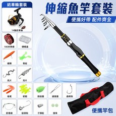 伸縮魚竿套裝 輕量便攜 釣魚用品, 直柄紡車輪套裝,1.6米｜新手入門・輕便好帶, N/A