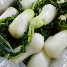 국산 절임 알타리 세척 초롱무 5kg