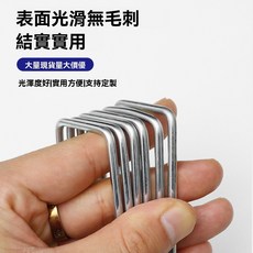 諾蘇塑業 加厚塑膠地釘 多尺寸PP材質防草布固定釘 園藝地膜帳篷固定釘, 1個, 不鏽鋼型-實心10公分