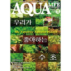 2025년 아쿠아라이프 11월호 [우리들이 좋아하는 수초], 단품, 단품