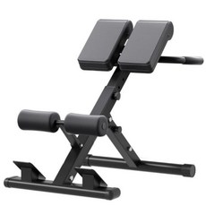 복근 운동 로만 허리 백익스텐션 운동기구 체어, 접이식+20KG 덤벨
