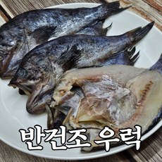 [한정특가] 북해도산 반건조 우럭 3마리, 1개, 반건조 우럭 3미