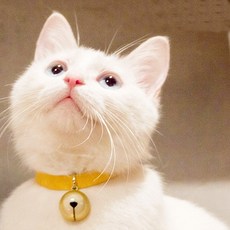 고양이 왕방울 목걸이 반려묘 방울목걸이, 왕방울 벨벳 - 레몬 옐로우 L, 1개